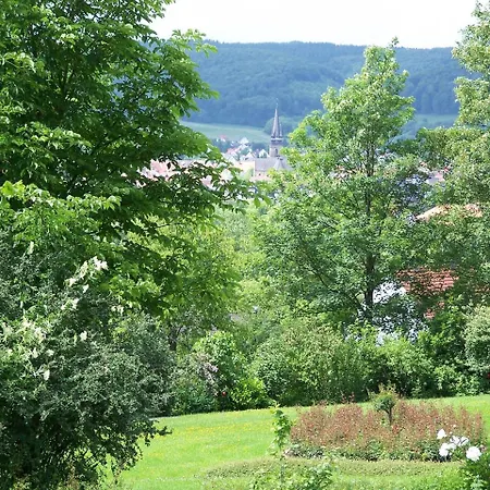 Apartamento Haus Am Steinberg *